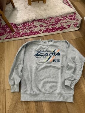 Arcadia Light Gray Crewneck Sweatshirt with Navy and Orange Graphic